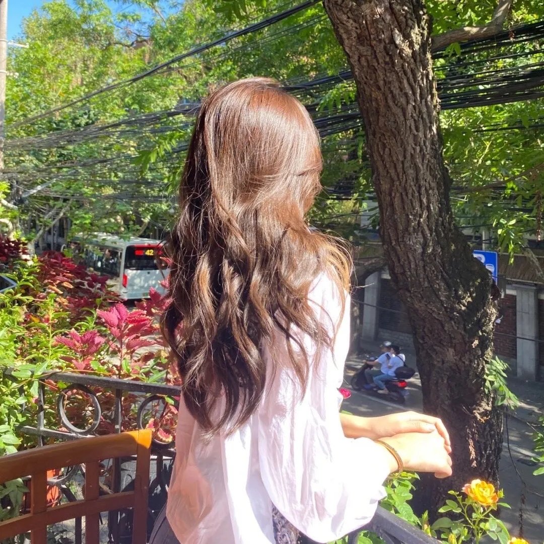 大丽花与红皮书